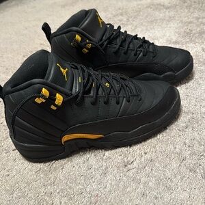 NEW Air Jordan 12